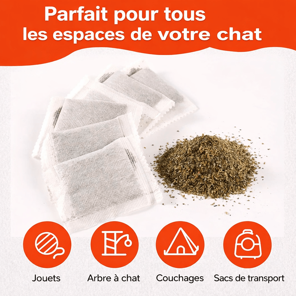 Catnip Kitty - Kittyshop