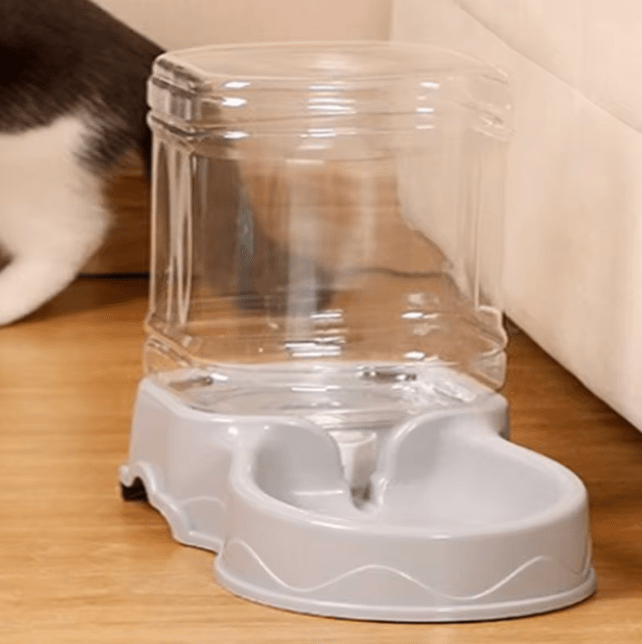 Feeder Kitty - Kittyshop